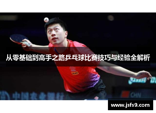 从零基础到高手之路乒乓球比赛技巧与经验全解析